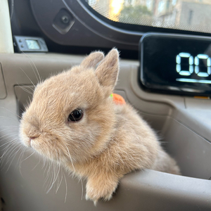 一程山路（翻唱）.wav