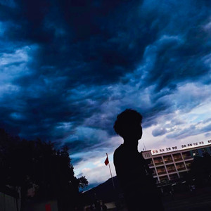 凤尾竹的泪(prod boy Zy)