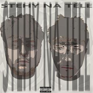 Stehy na těle