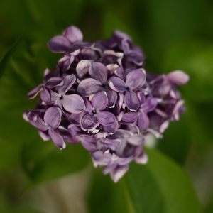 Διαλογισμός και χαλάρωση
