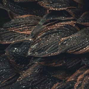 Las Estrellas De Arriba