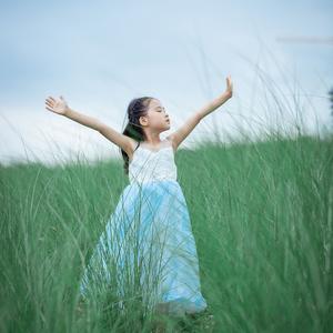 如果你要写风就别只写风