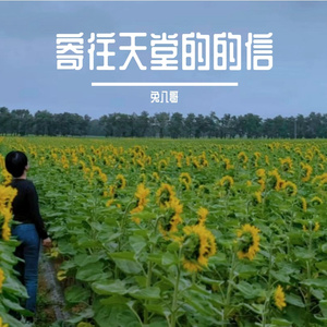 寄往天堂的的信