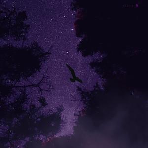 nobody else (feat. 4TM)