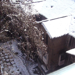 木头的春天（demo）