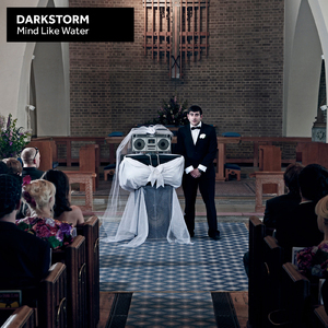 Swamp Shuffle (Henry Krinkle Remix)