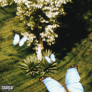 蝴蝶春（Prod.Gr33nart Beats）
