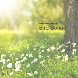 Bird Song