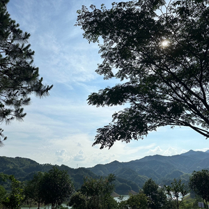 我来自金寨Prod by 9Zi