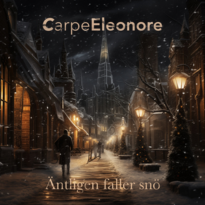 Äntligen faller snö