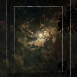 Shallow Sense (feat. Rsl_Andrew)