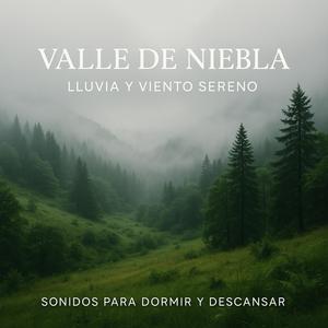 Estrella sobre el Arroyo