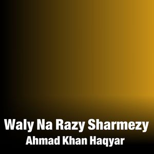 Waly Na Razy Sharmezy
