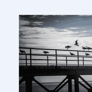 安和桥（翻自 宋冬野）