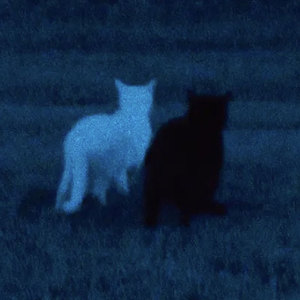 Back in Your Life (feat. Linhexist)