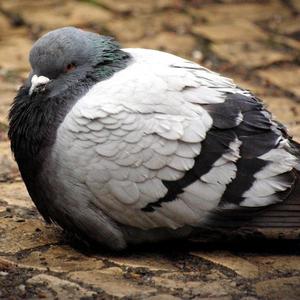 Don't Want to Dream Anymore