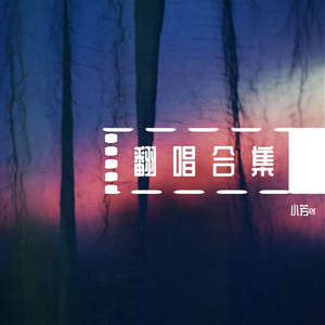 娑婆（Cover：叶里/安九）