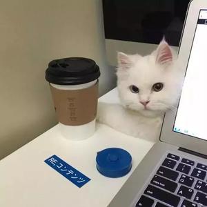 化身孤岛的鲸（cover群星）-1（翻自 王巨星）