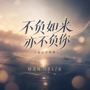 不负如来亦不负你(走心合唱版)