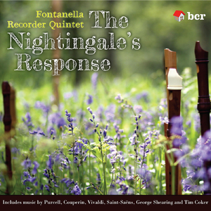 Chamber Concerto in D Major, RV 95 "La Pastorella": I. Allegro (Arr. R. Austen-Brown)