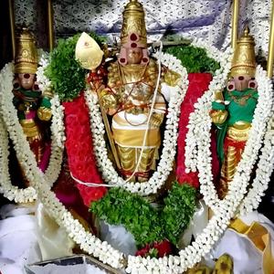 திருப்புகழ் 97 வந்து வந்து முன் (திருச்செந்தூர்)