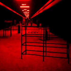 Level！Backrooms！