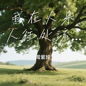 我在人来人往处流浪