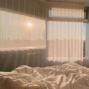 Bed Wxxking（prod by August Wu）