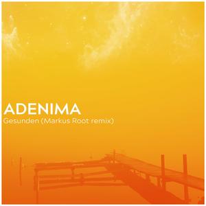 Gesunden (feat. Markus Root) (Remix)