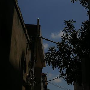 那个她demo