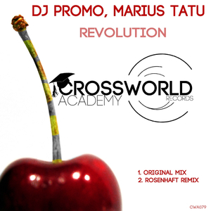 Revolution (Rosenhaft Remix)