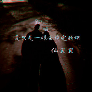 爱只是一根会烧完的烟