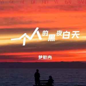 一个人的黑夜白天