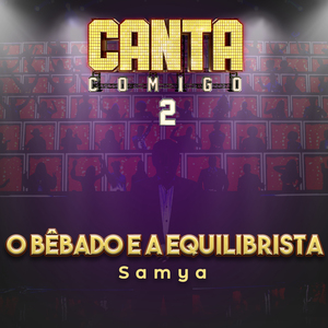 O Bêbado E A Equilibrista