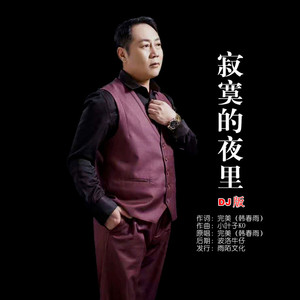 寂寞的夜里 (DJ版)