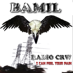 Radio Crw - I Can Feel Your Pain