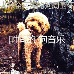 安静的训练你的狗声音