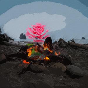 你陪伴我关心Prod.IOF