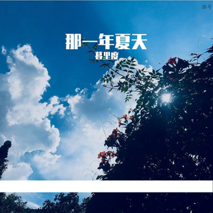 那一年夏天 伴奏