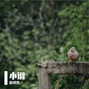 海风吹来的夜晚