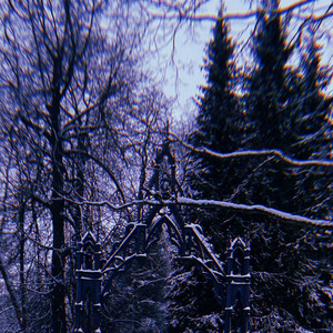 Tempête de Neige