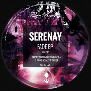 Fade (Simone Burrini Remix)