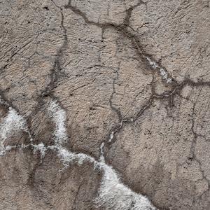 月光 静谧 独白 哀伤