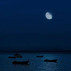 空谷幽兰（纯音乐）