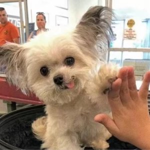 距离好远是心也是我们