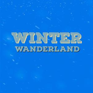 Winter Wanderland