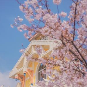 鱼玄机（翻自 兔裹煎蛋卷）