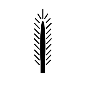 Gorila