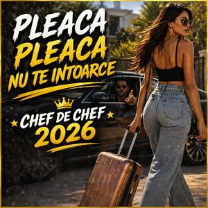 Pleacă Pleacă Nu Te Întoarce Chef de Chef 2026 | Manele Remix Club Hit