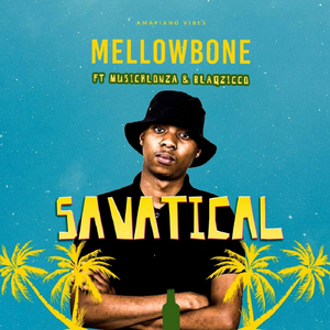 Savatical (Original Mix)